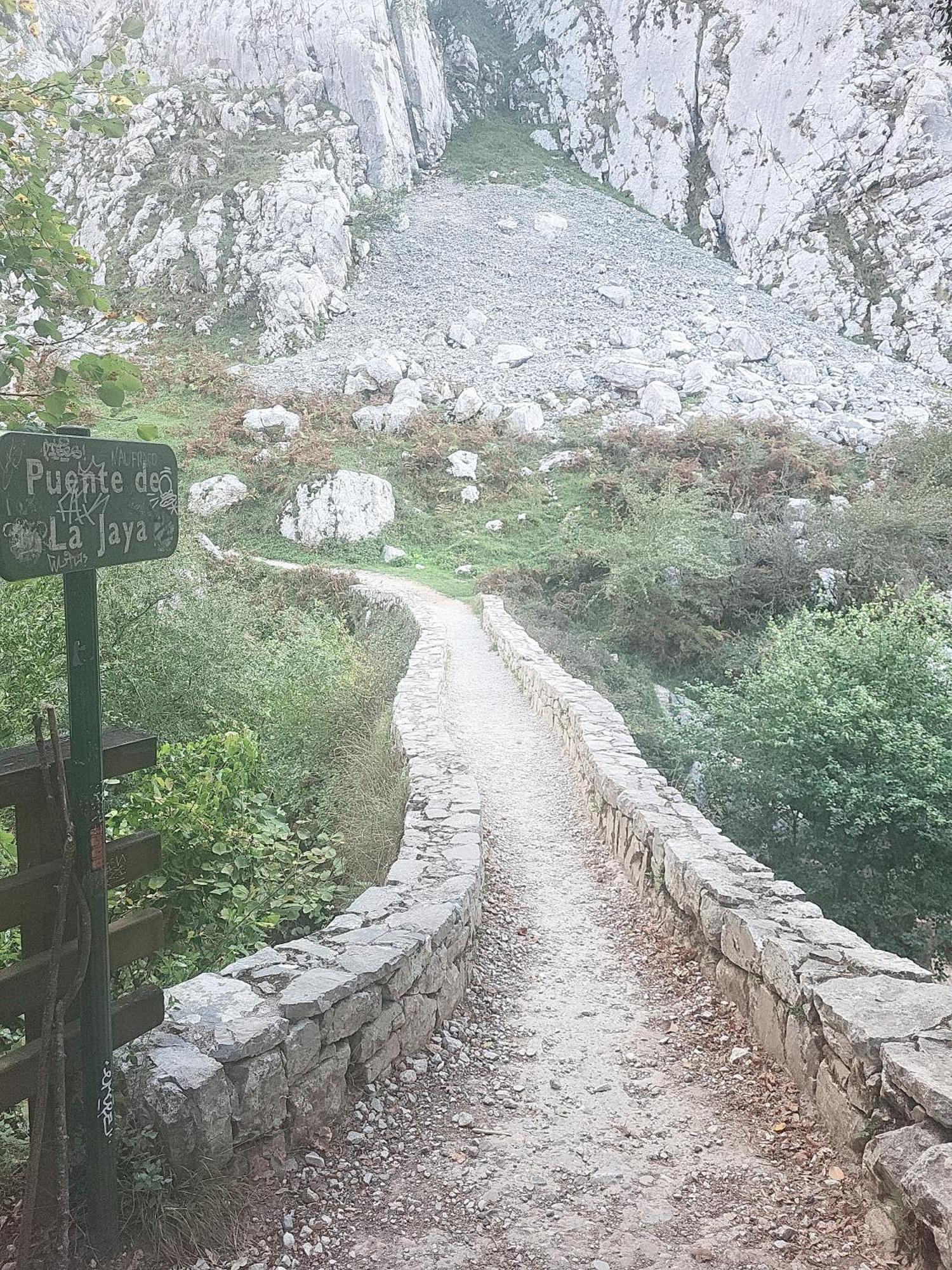 Ribeles Luxury Flat Διαμέρισμα Arenas De Cabrales Εξωτερικό φωτογραφία