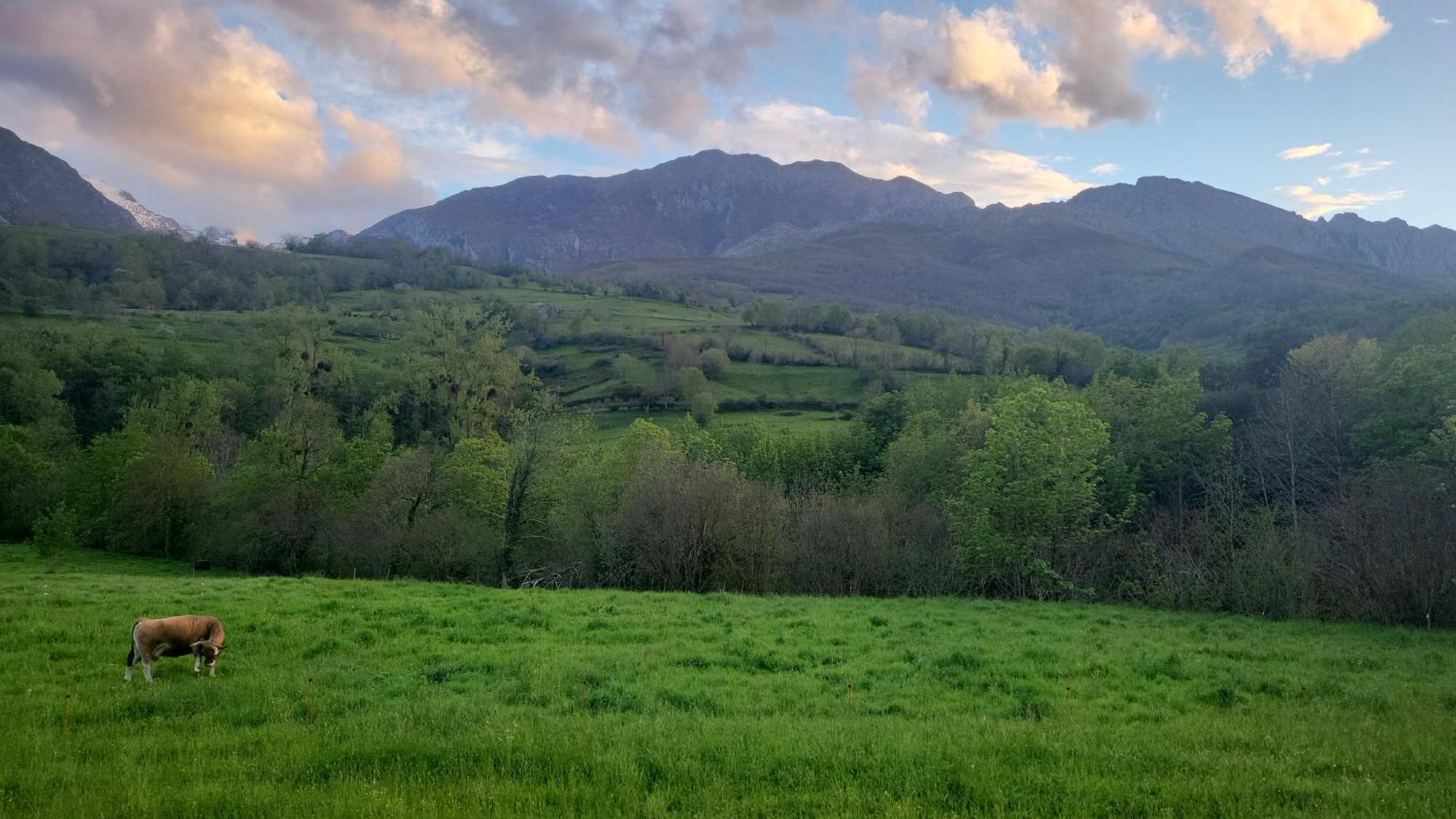 Ribeles Luxury Flat Διαμέρισμα Arenas De Cabrales Εξωτερικό φωτογραφία